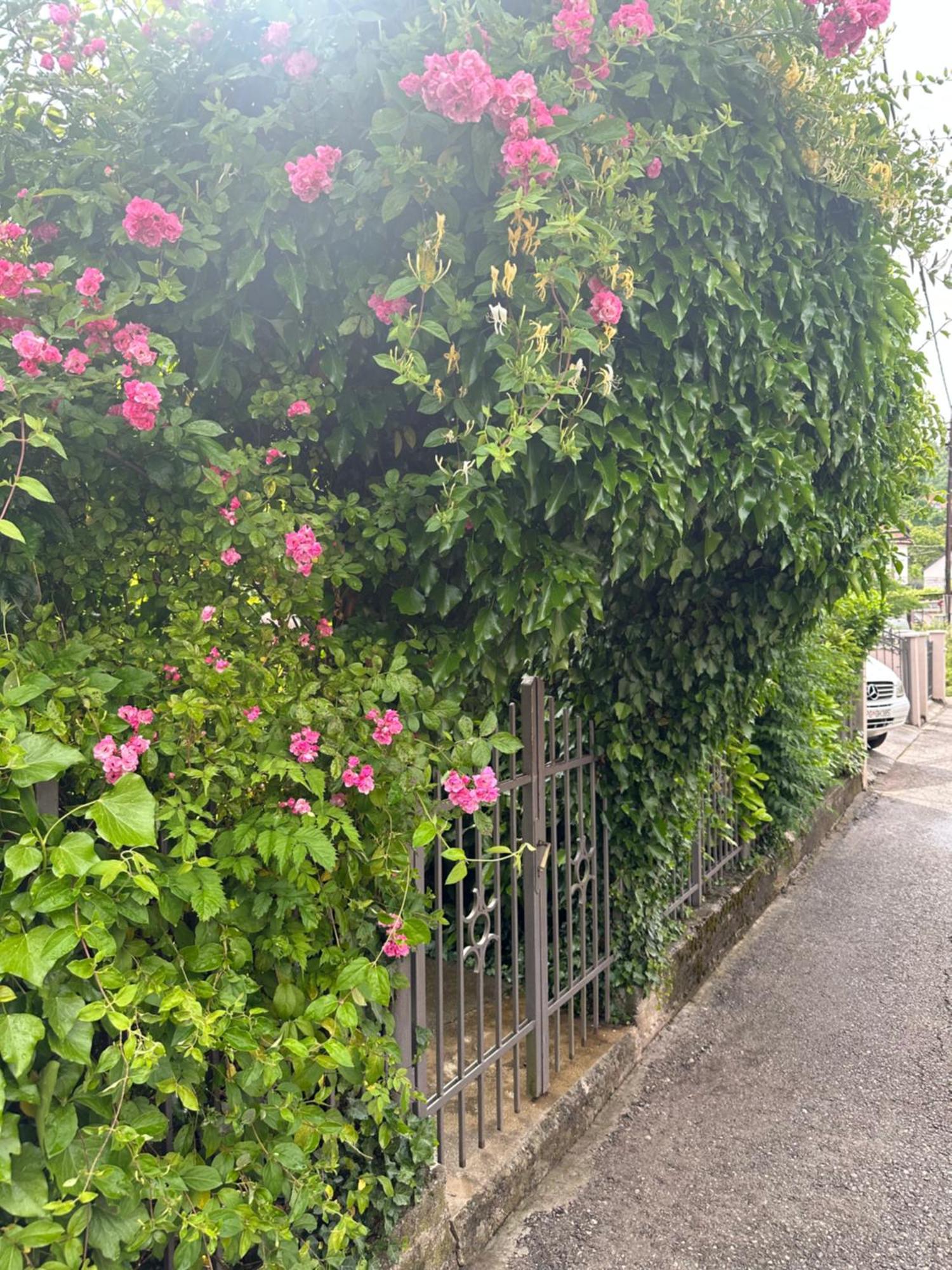 Apartman Lili Cetinje Exterior photo