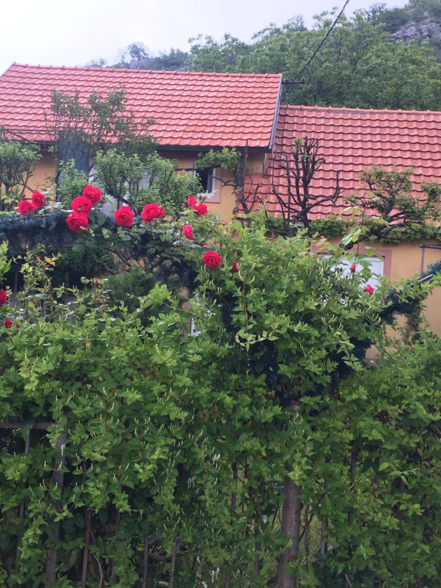 Apartman Lili Cetinje Exterior photo